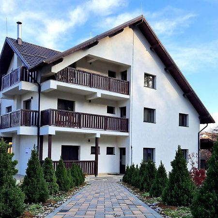 Pensiunea Izvorul Linistii Radaseni Exterior photo