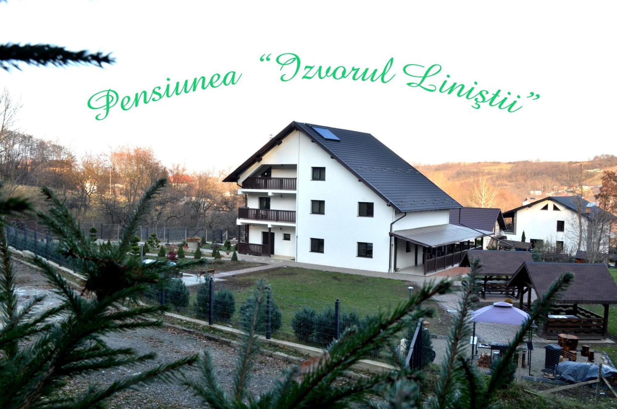 Pensiunea Izvorul Linistii Radaseni Exterior photo